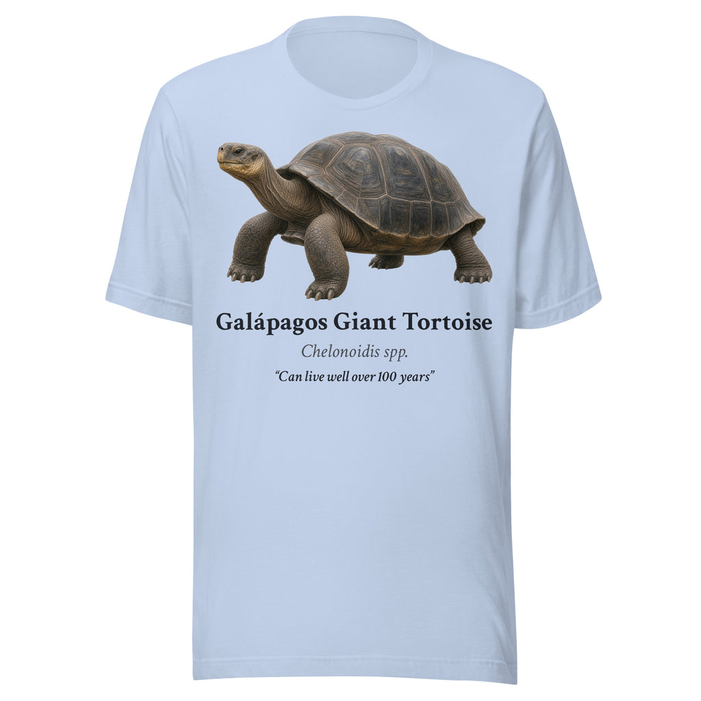 Galápagos Giant Tortoise Tee – Baby Blue – front