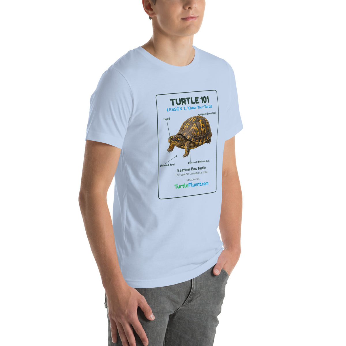 Turtle 101 Tee – Baby Blue – right front
