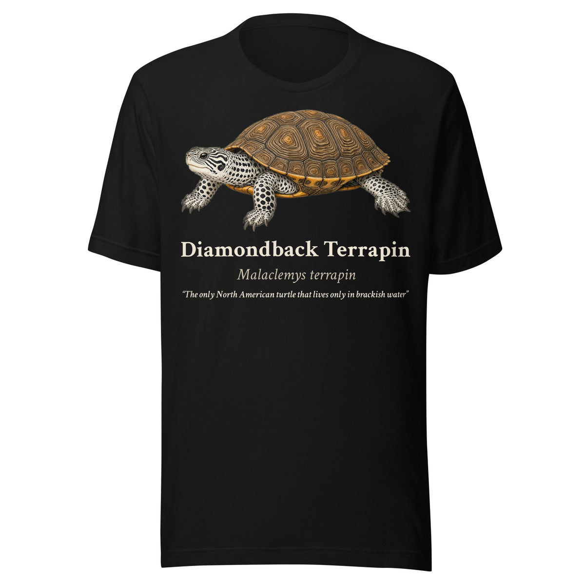 Diamondback Terrapin Tee – Black – front
