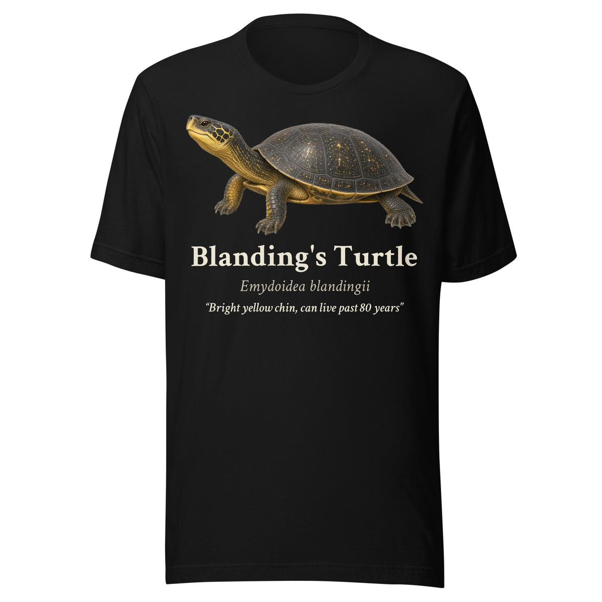 Blanding's Turtle Tee – Black – front