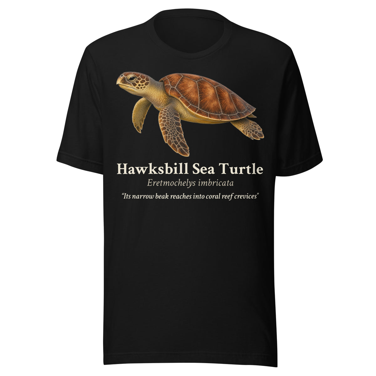 Hawksbill Sea Turtle Tee – Black – front