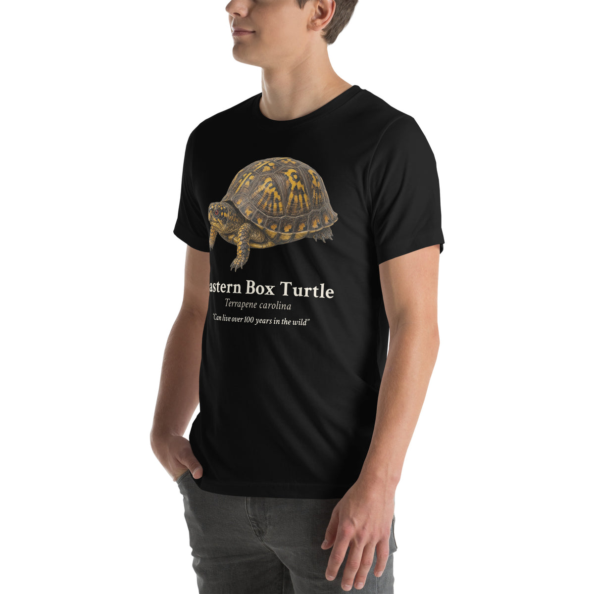 Eastern Box Turtle Tee – Black – left front