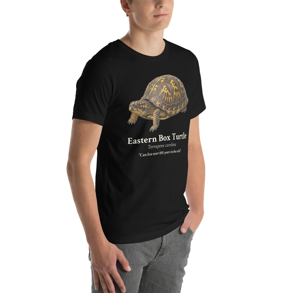 Eastern Box Turtle Tee – Black – right front