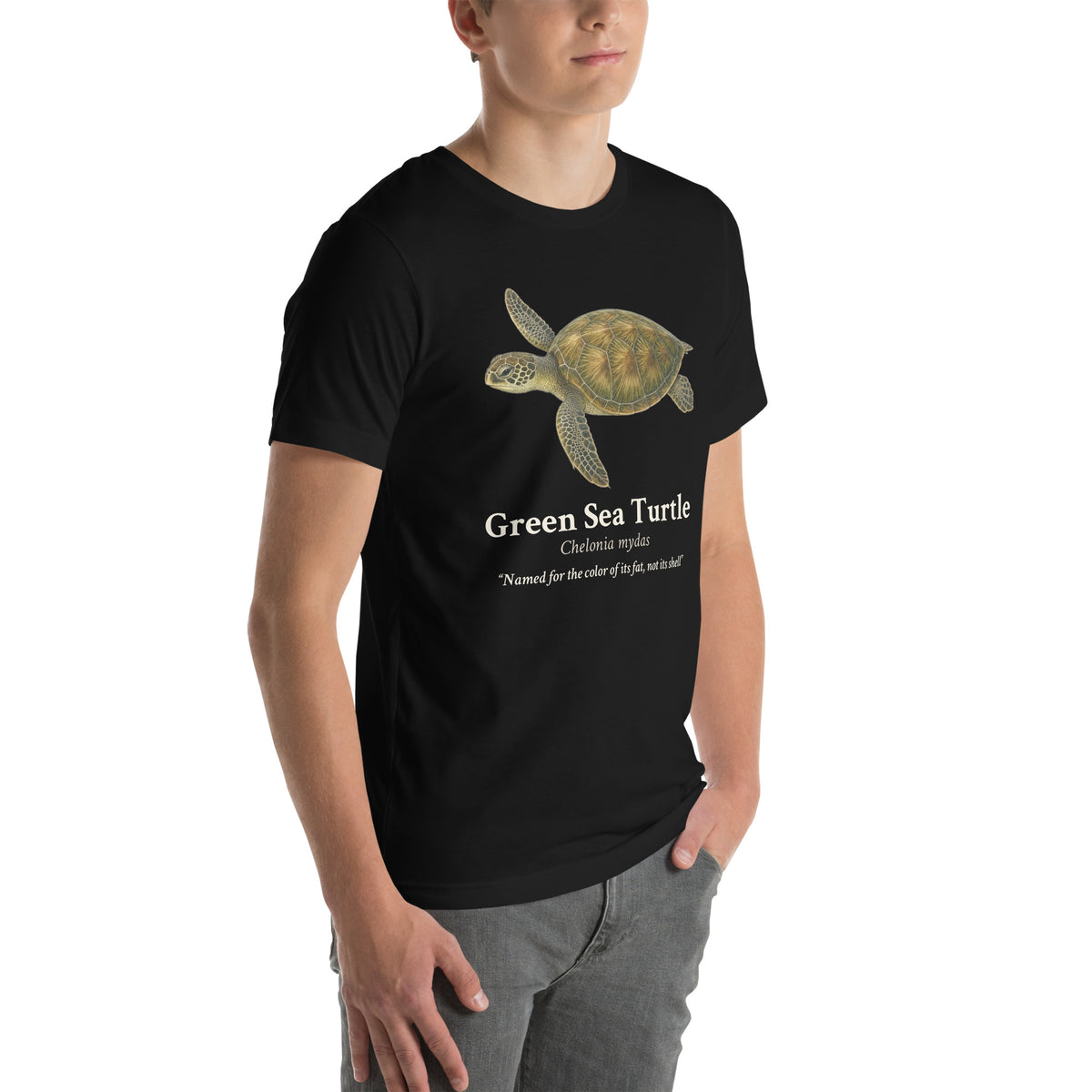 Green Sea Turtle Tee – Black – right front