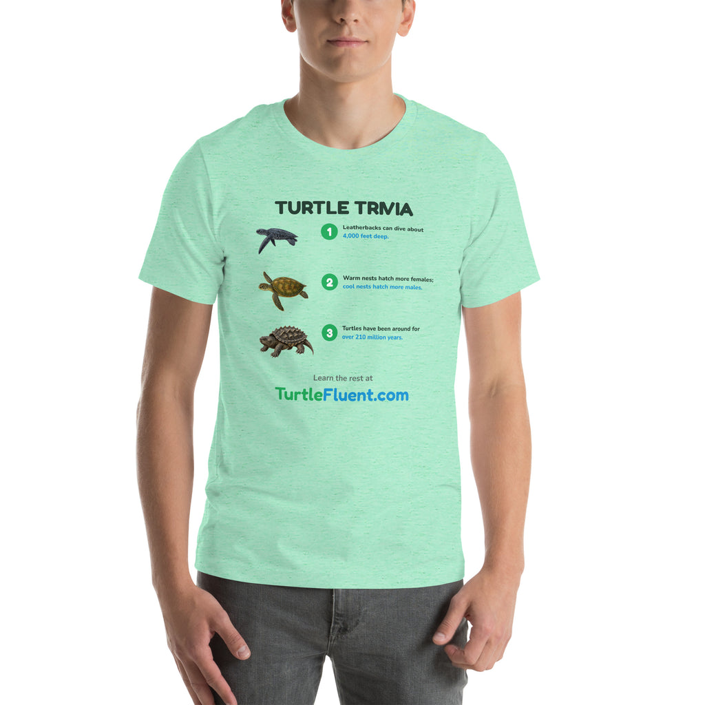 Turtle Trivia Tee – Heather Mint – front