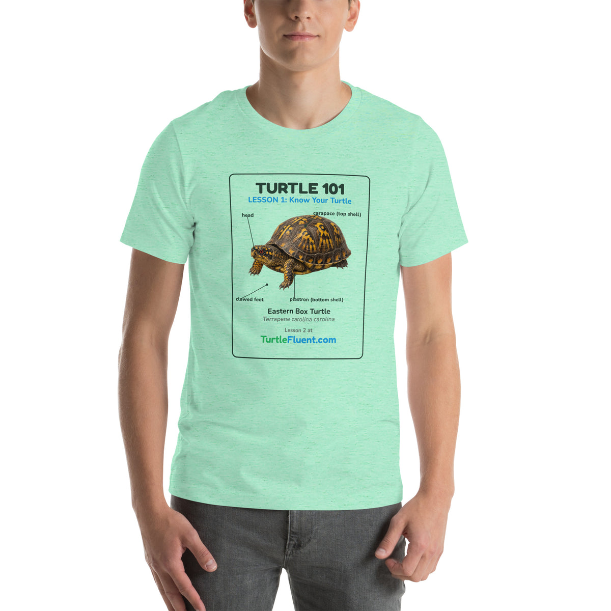 Turtle 101 Tee – Heather Mint – front