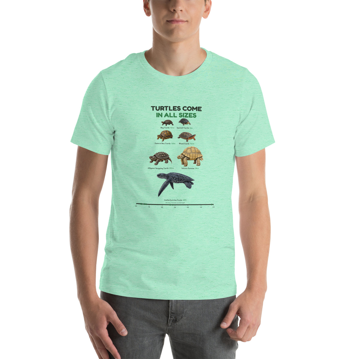 Turtles Come in All Sizes Tee – Heather Mint – front