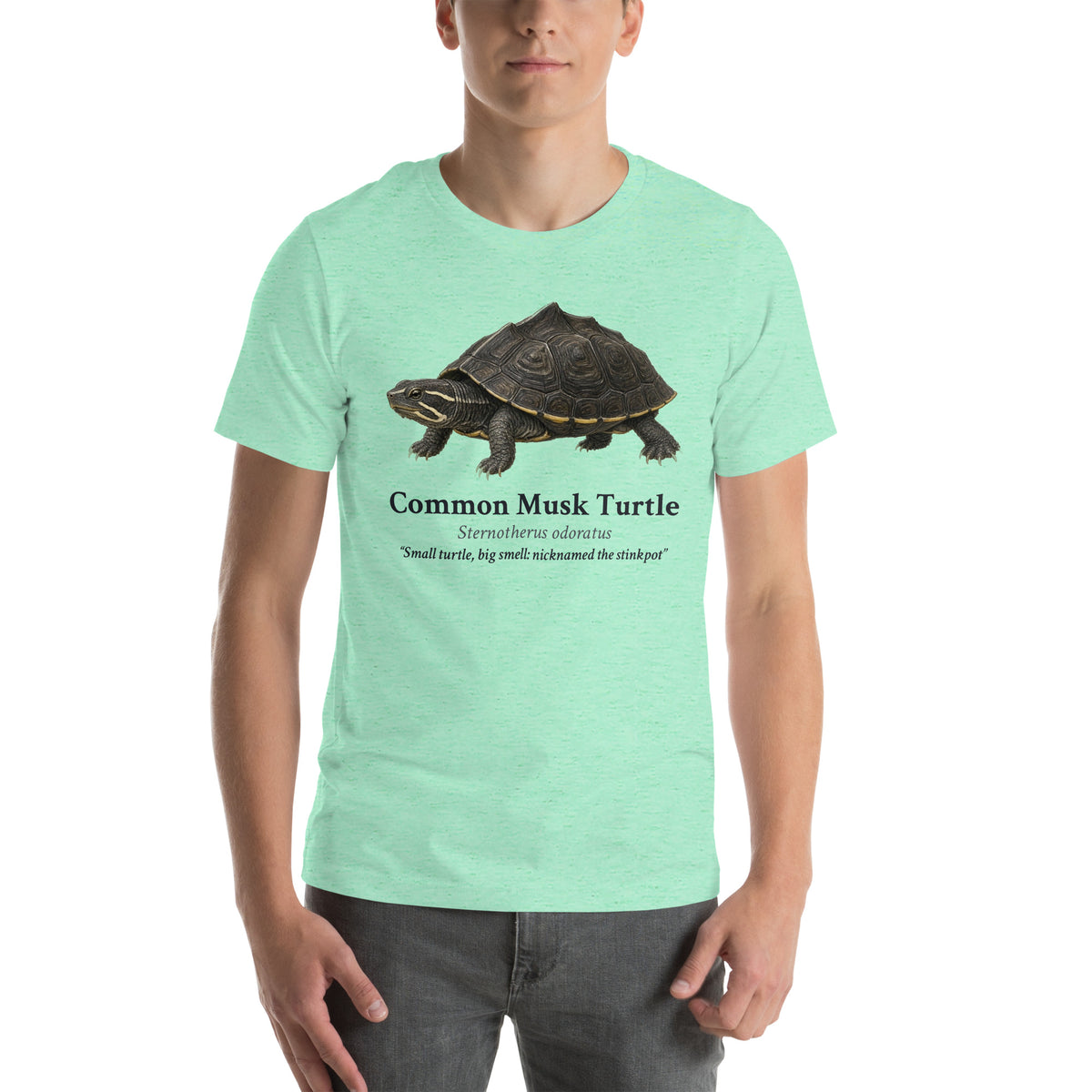 Common Musk Turtle Tee – Heather Mint – front