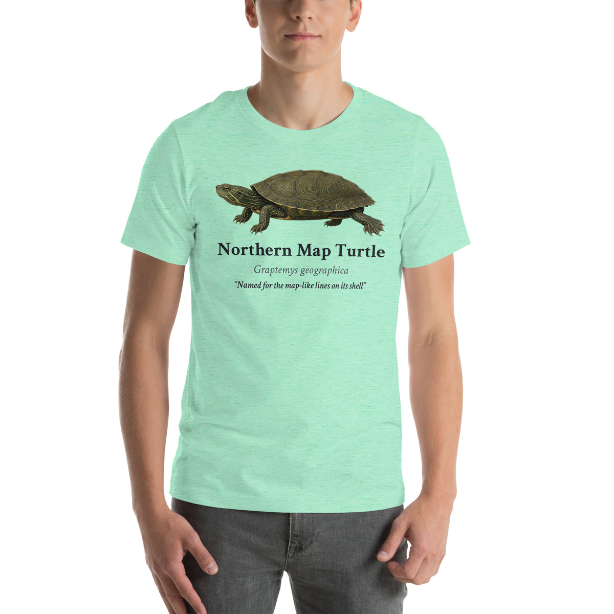 Northern Map Turtle Tee – Heather Mint – front