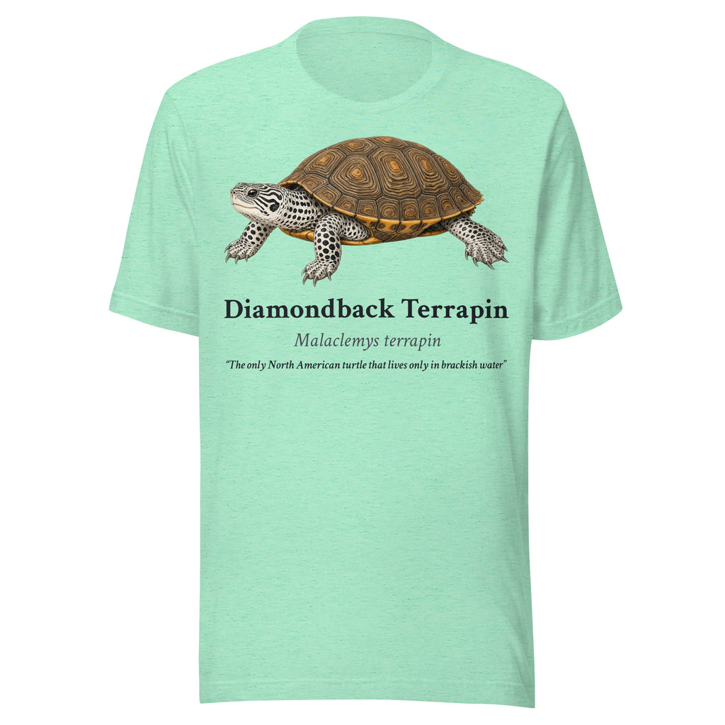 Diamondback Terrapin Tee – Heather Mint – front