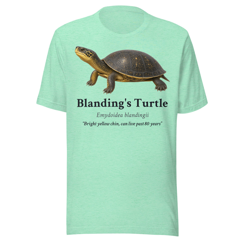 Blanding's Turtle Tee – Heather Mint – front