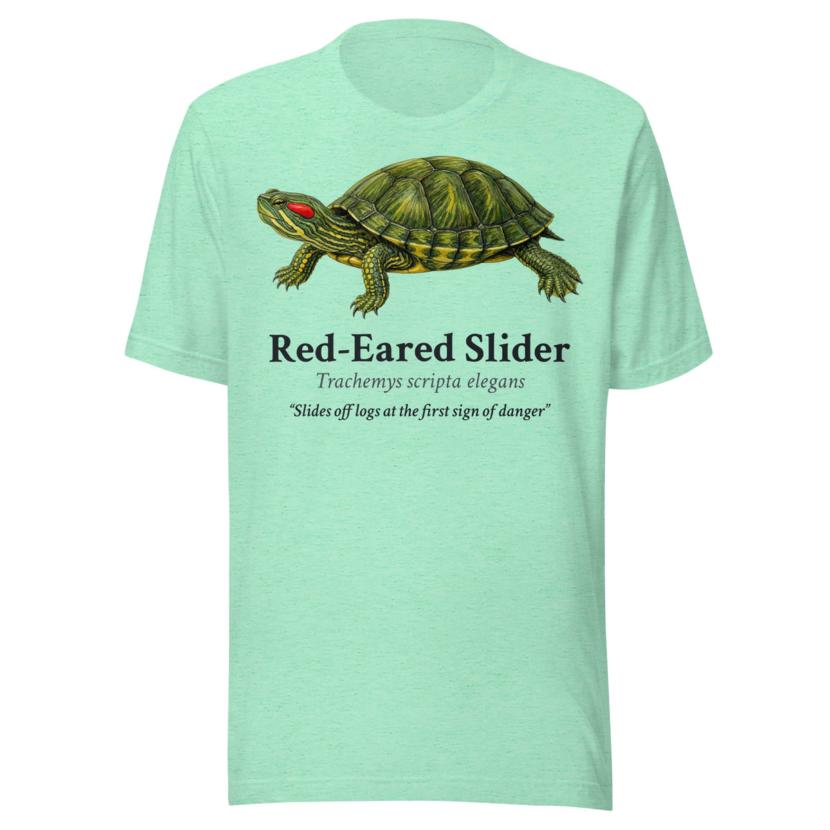 Red-Eared Slider Tee – Heather Mint – front
