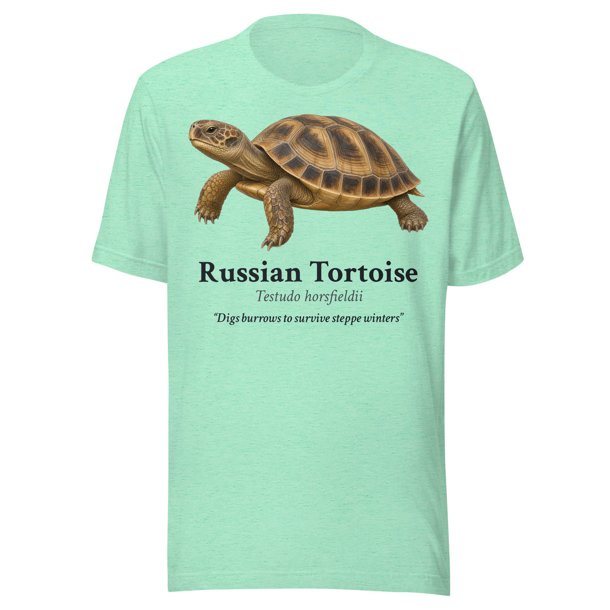 Russian Tortoise Tee – Heather Mint – front