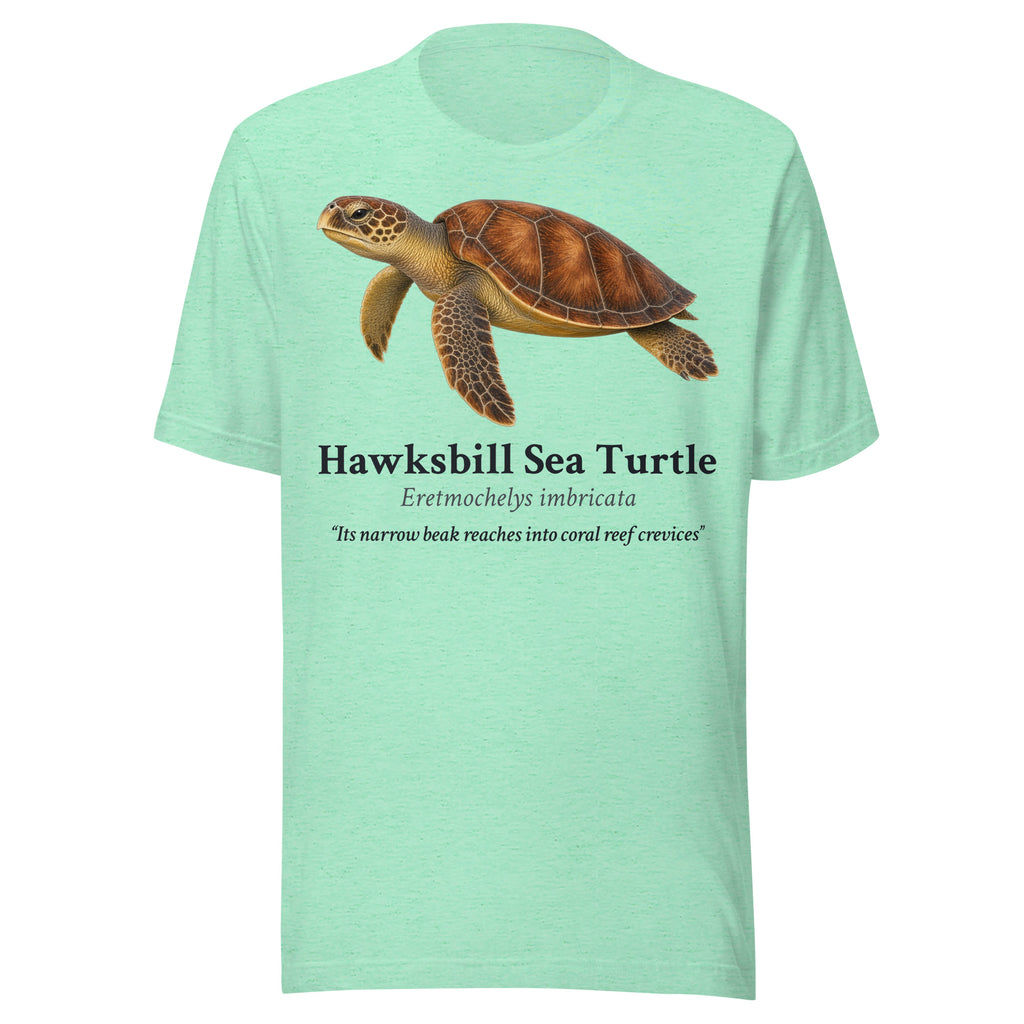 Hawksbill Sea Turtle Tee – Heather Mint – front