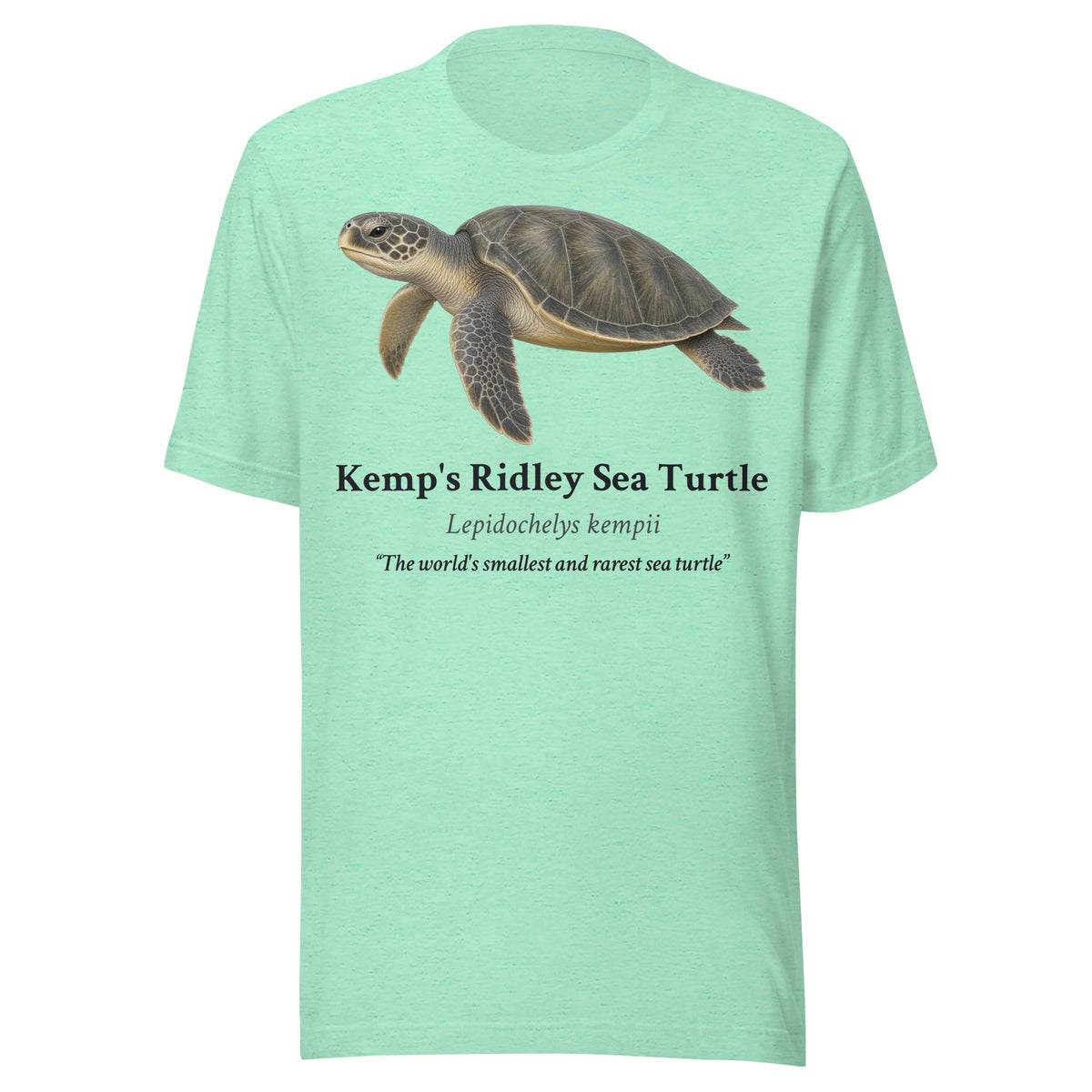 Kemp's Ridley Sea Turtle Tee – Heather Mint – front