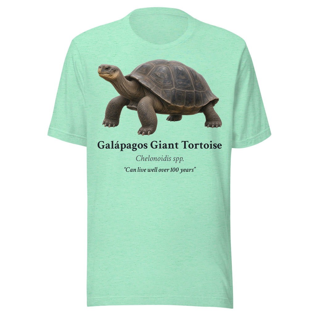 Galápagos Giant Tortoise Tee – Heather Mint – front