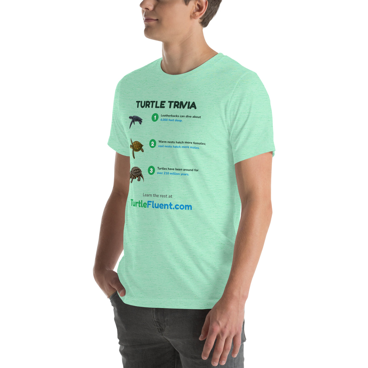 Turtle Trivia Tee – Heather Mint – left front