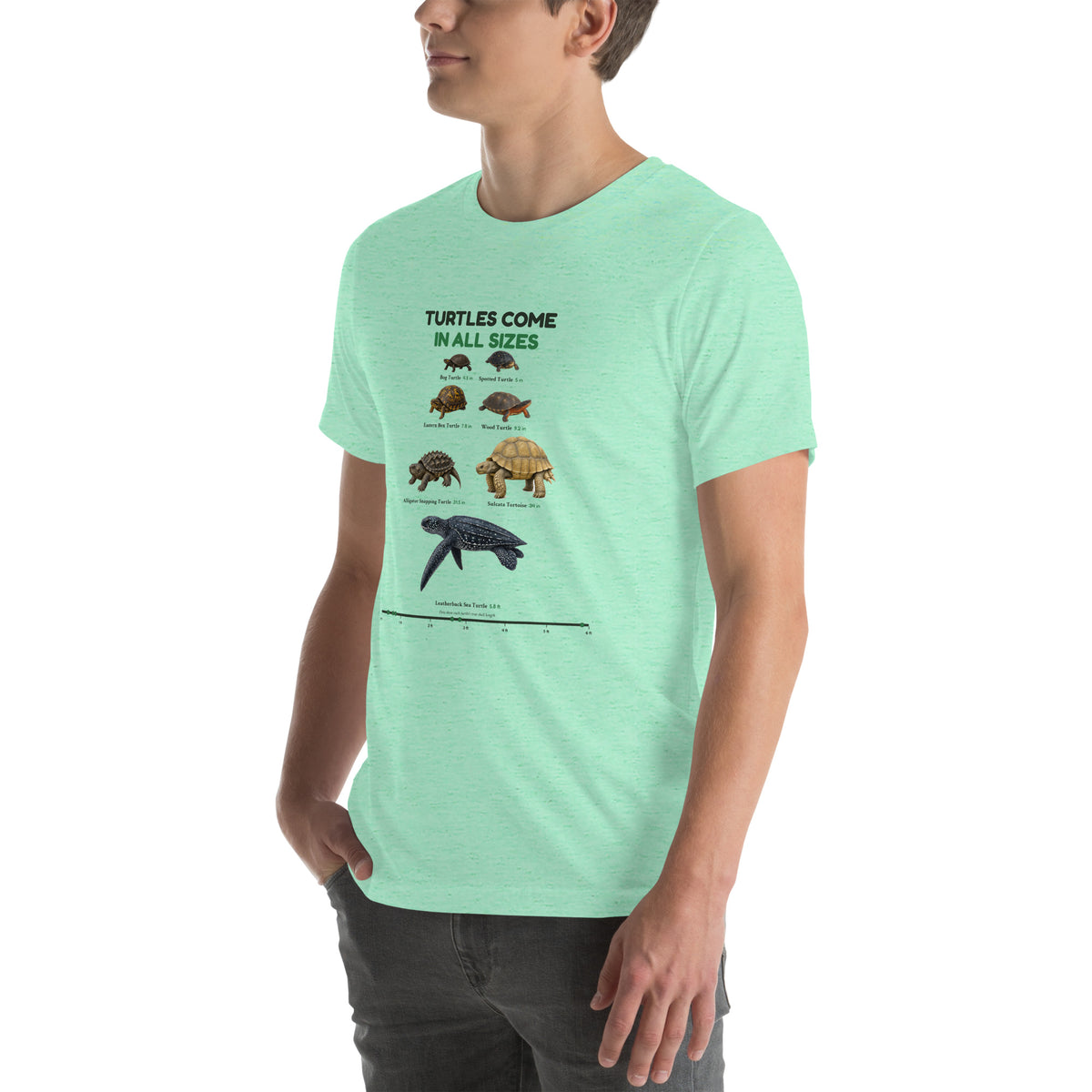 Turtles Come in All Sizes Tee – Heather Mint – left front