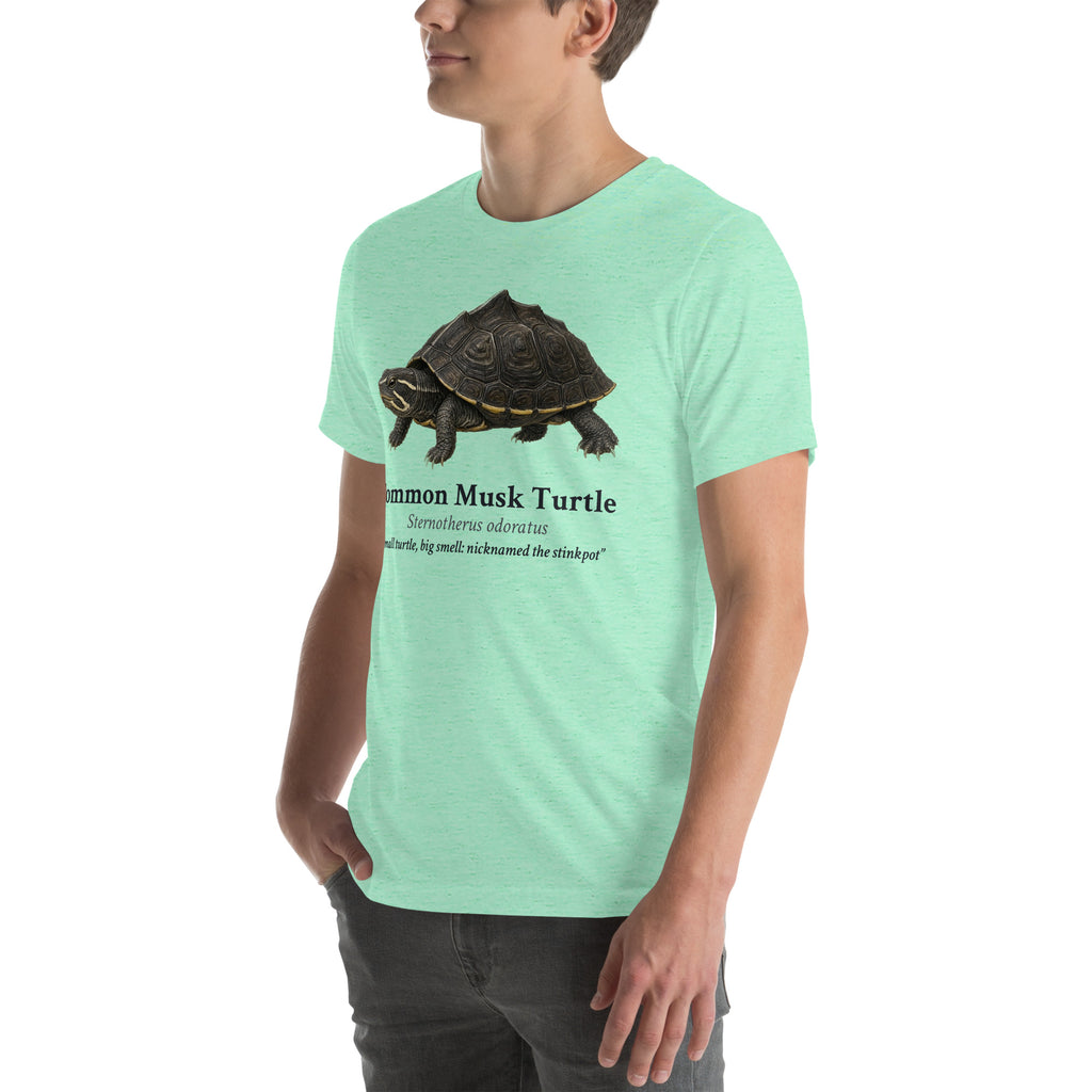 Common Musk Turtle Tee – Heather Mint – left front