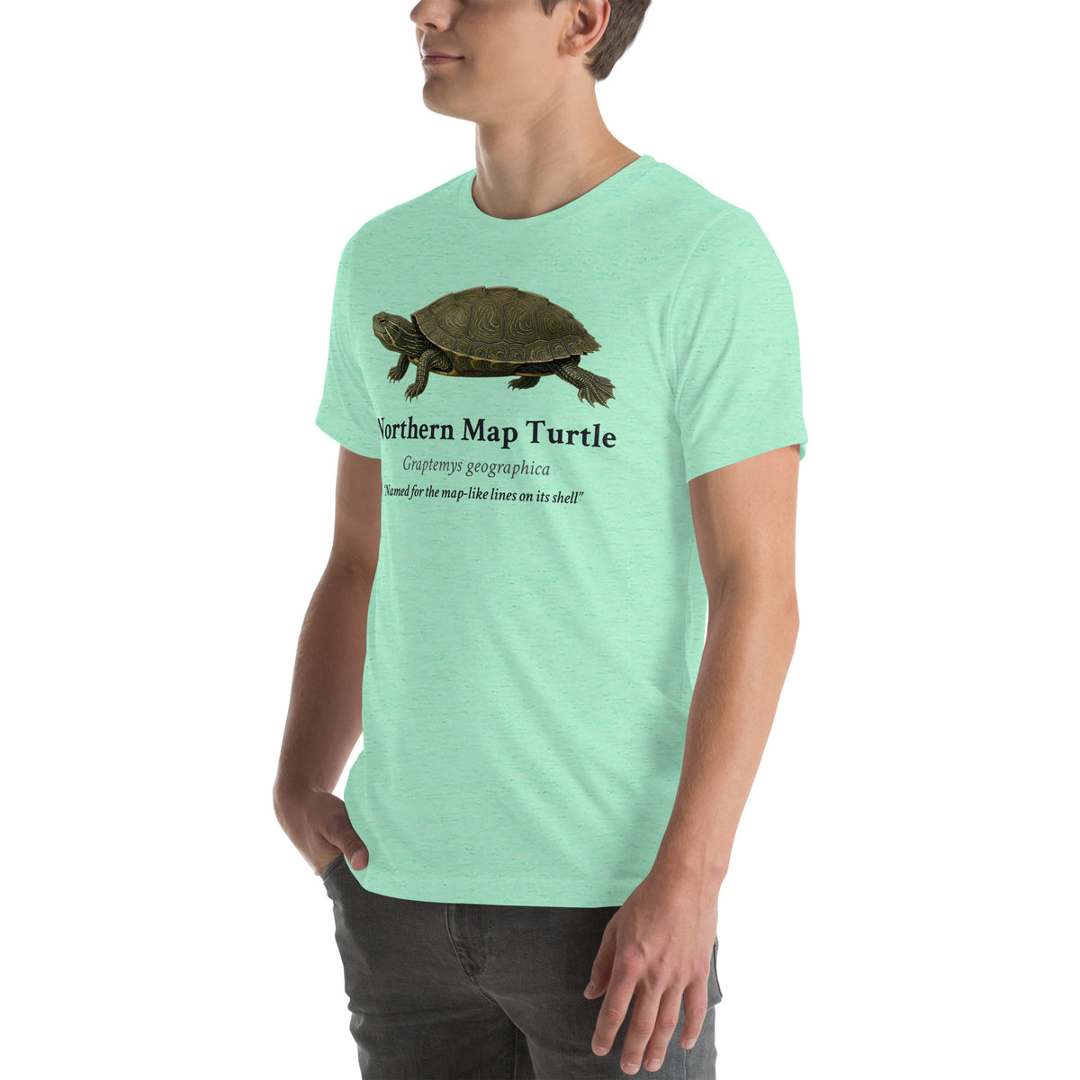 Northern Map Turtle Tee – Heather Mint – left front