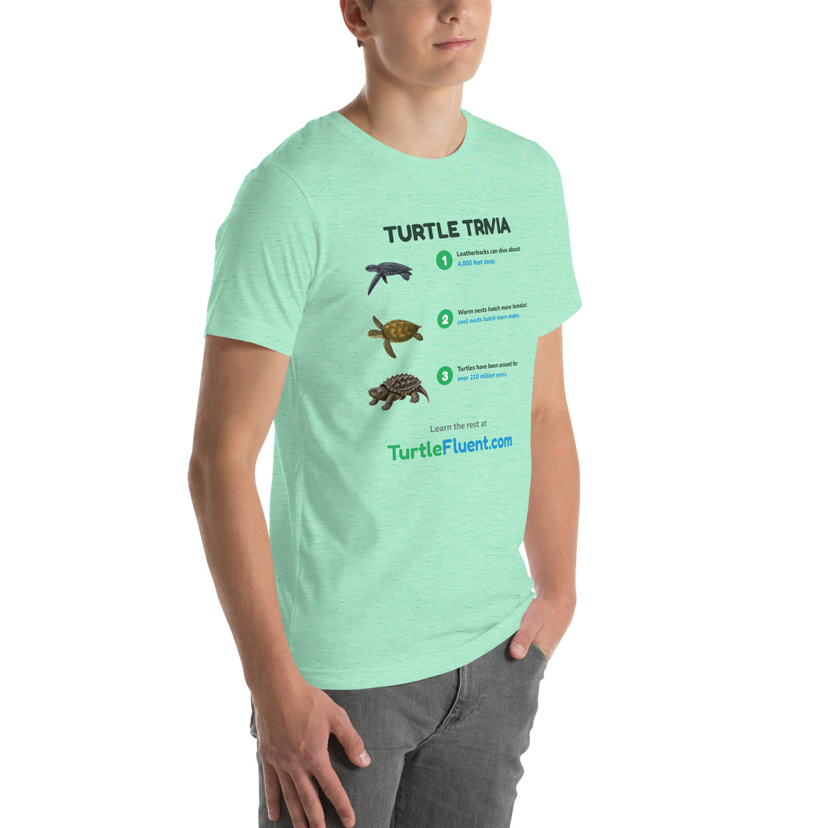 Turtle Trivia Tee – Heather Mint – right front