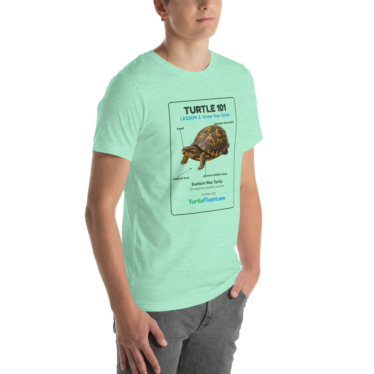 Turtle 101 Tee – Heather Mint – right front