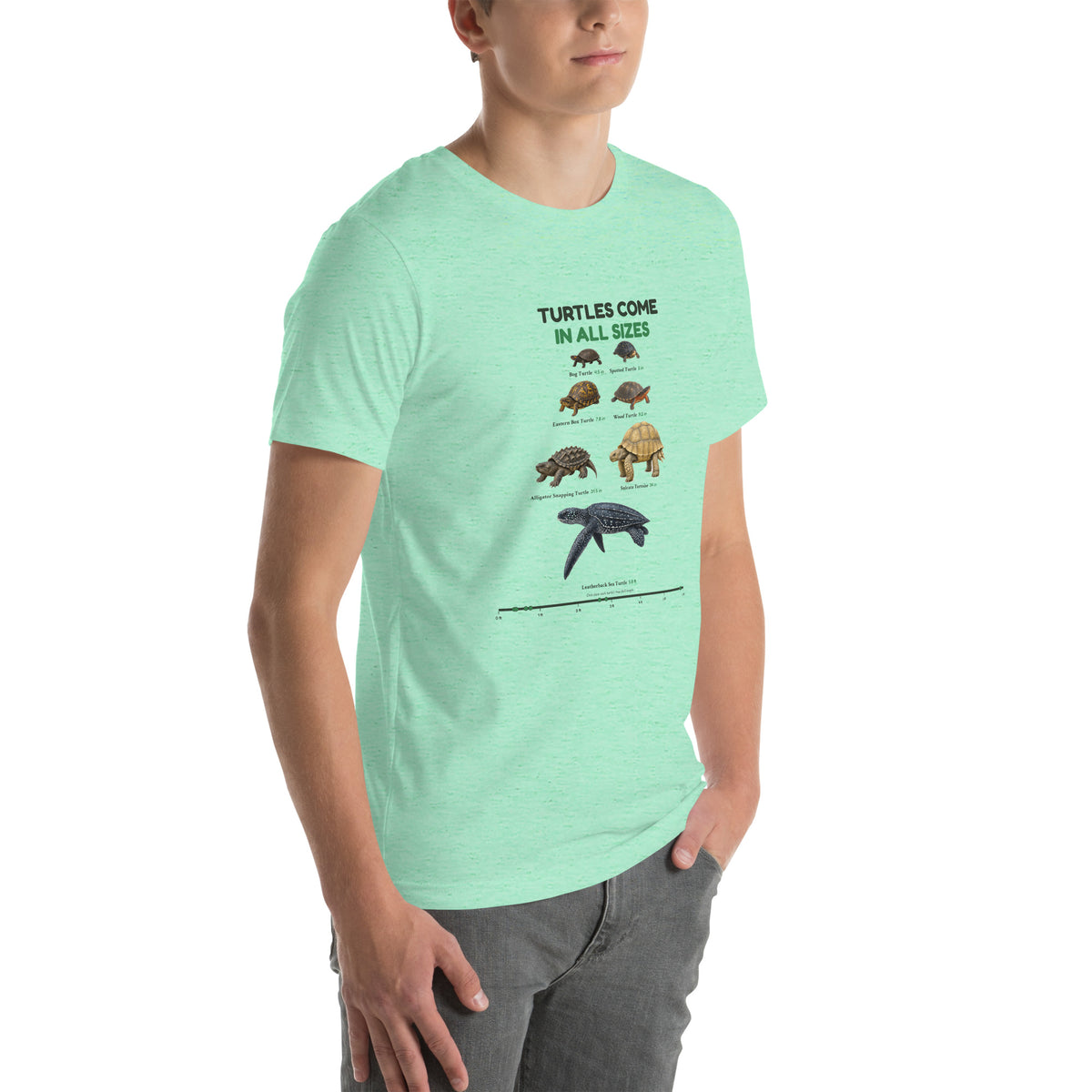 Turtles Come in All Sizes Tee – Heather Mint – right front