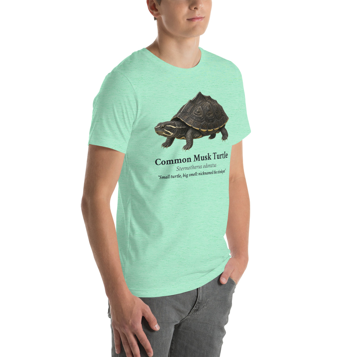 Common Musk Turtle Tee – Heather Mint – right front