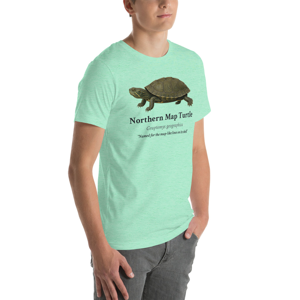 Northern Map Turtle Tee – Heather Mint – right front