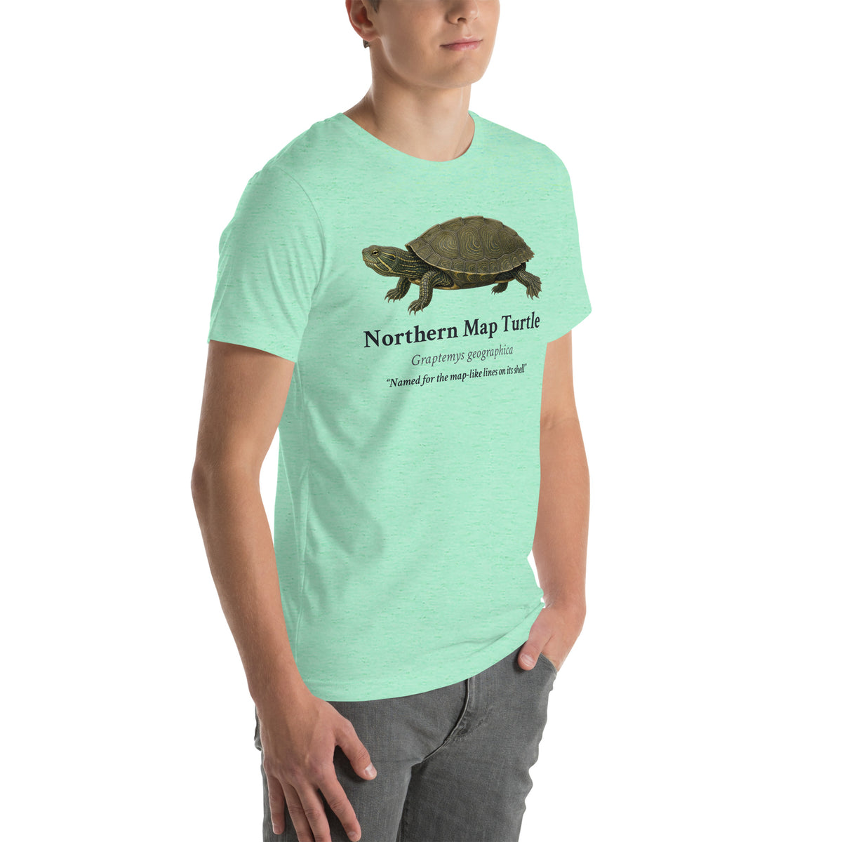 Northern Map Turtle Tee – Heather Mint – right front