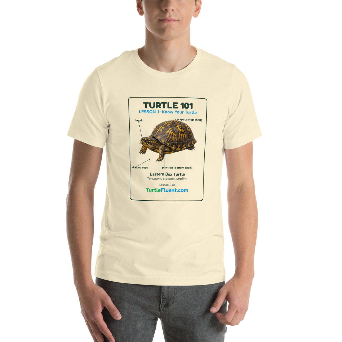 Turtle 101 Tee – Natural – front
