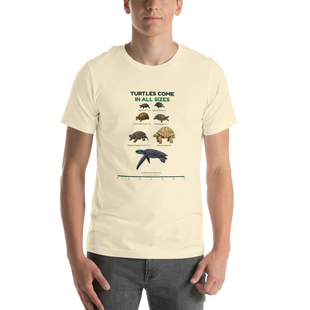 Turtles Come in All Sizes Tee – Natural – front