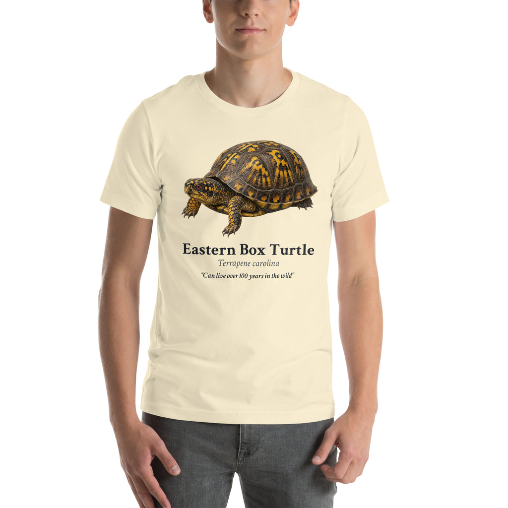 Eastern Box Turtle Tee – Natural – front