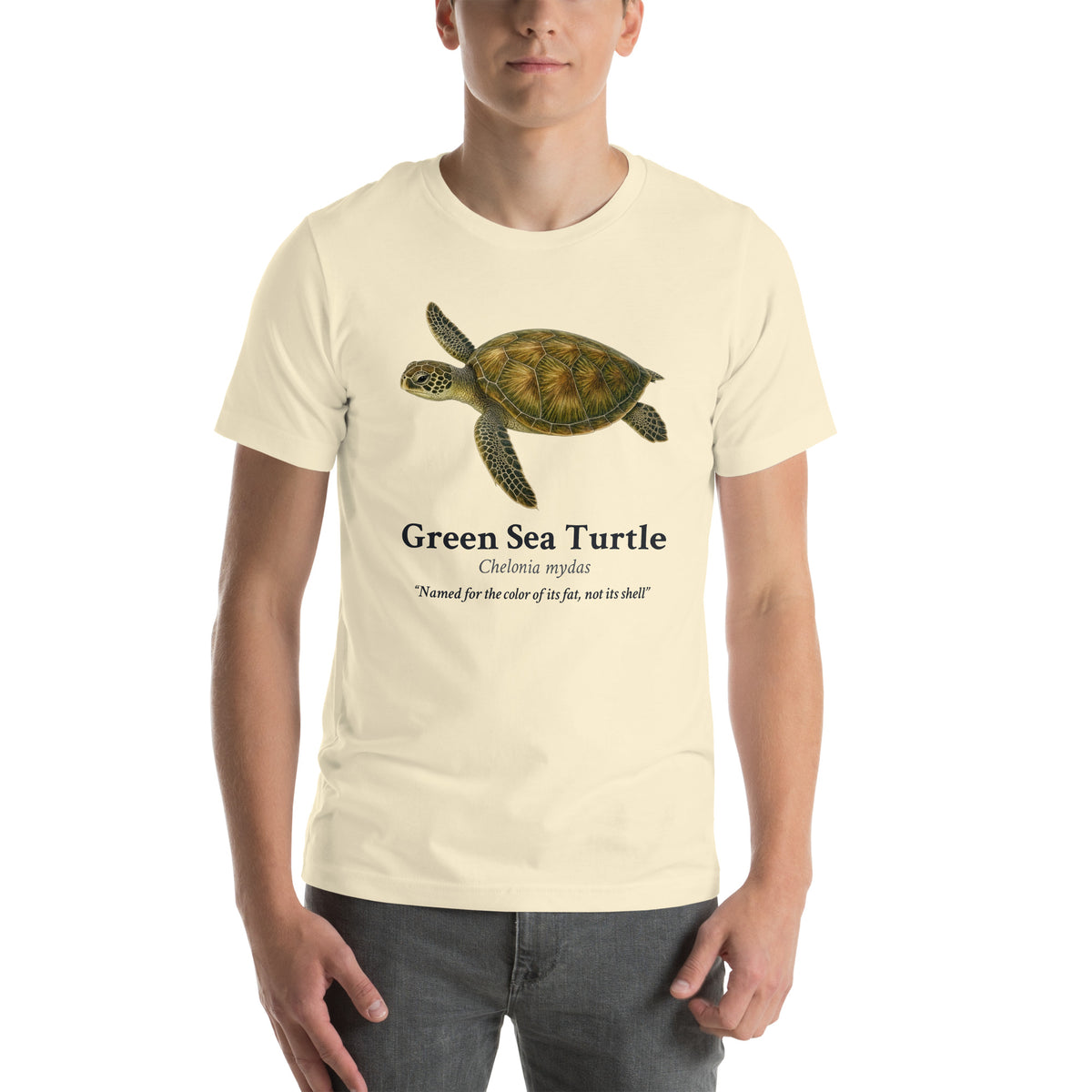 Green Sea Turtle Tee – Natural – front