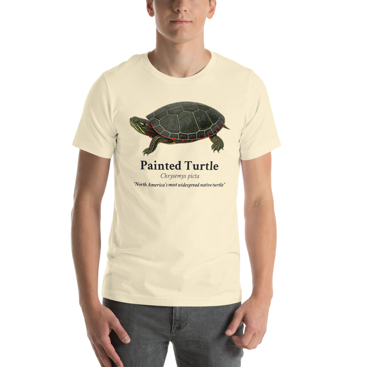 Painted Turtle Tee – Natural – front