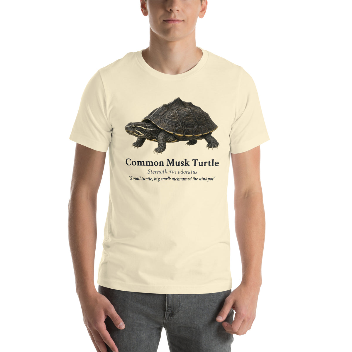 Common Musk Turtle Tee – Natural – front