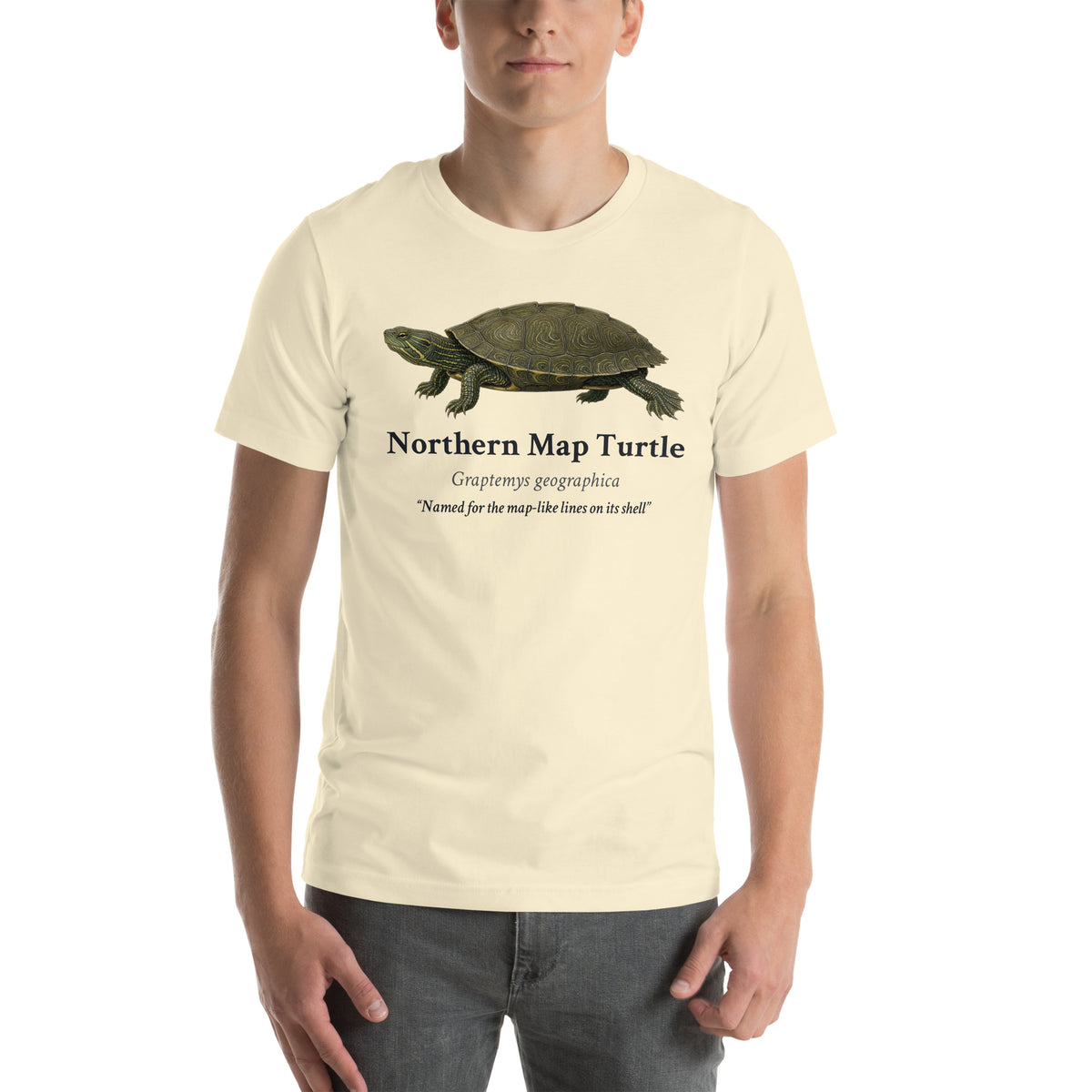 Northern Map Turtle Tee – Natural – front