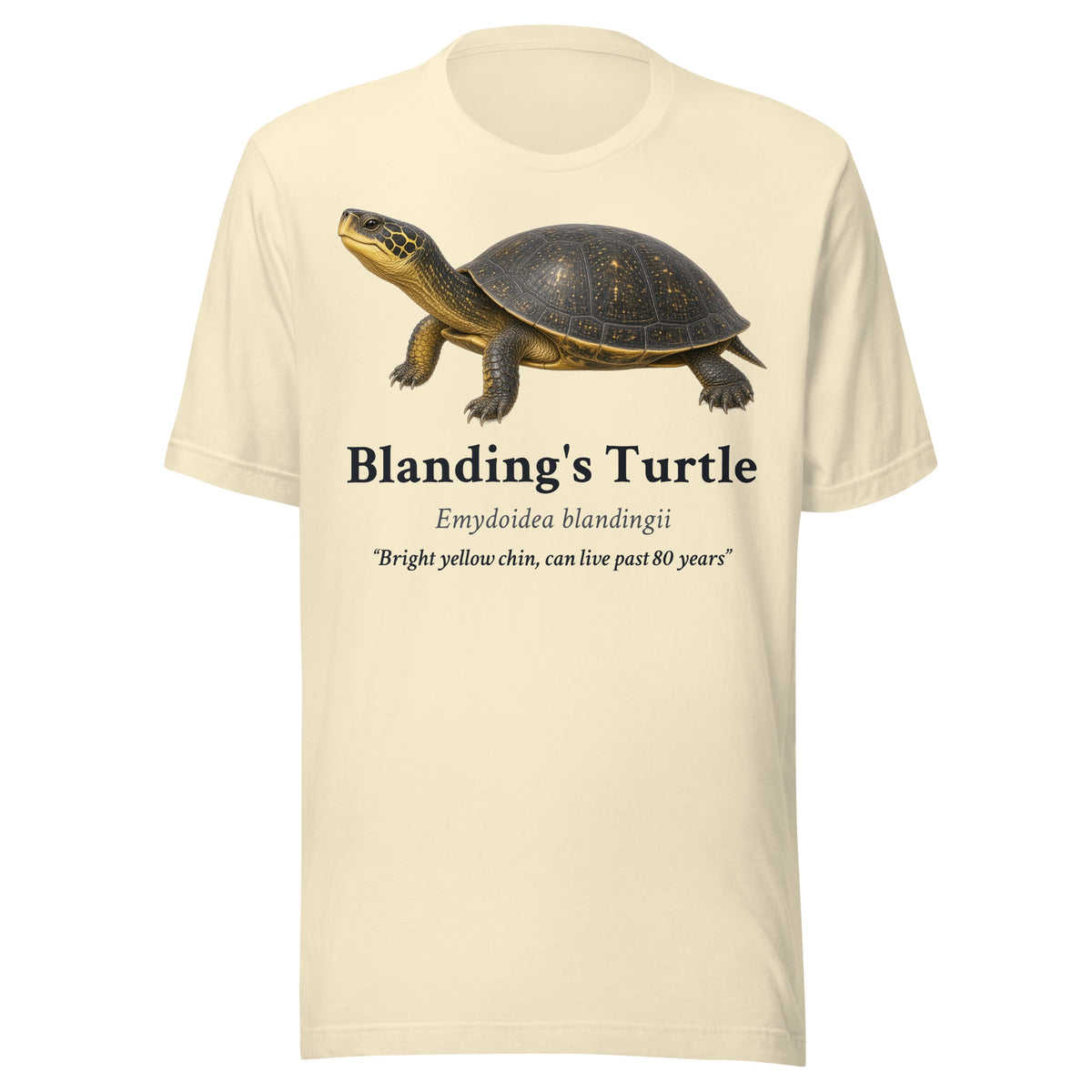 Blanding's Turtle Tee – Natural – front