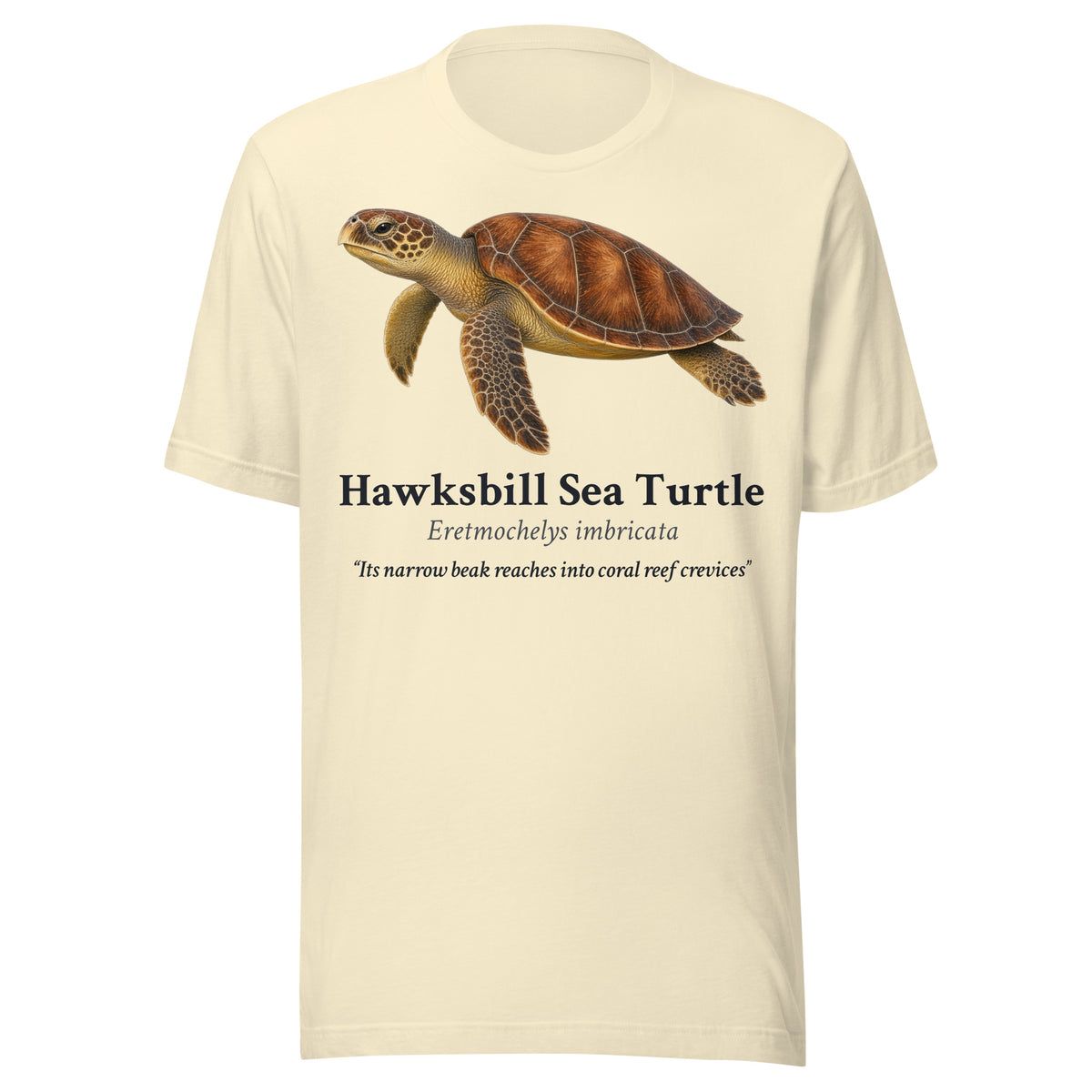 Hawksbill Sea Turtle Tee – Natural – front