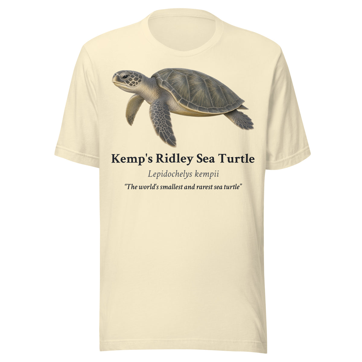 Kemp's Ridley Sea Turtle Tee – Natural – front