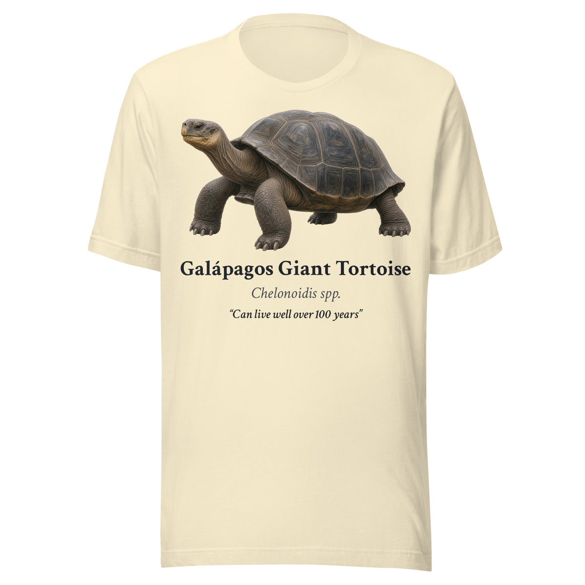 Galápagos Giant Tortoise Tee – Natural – front