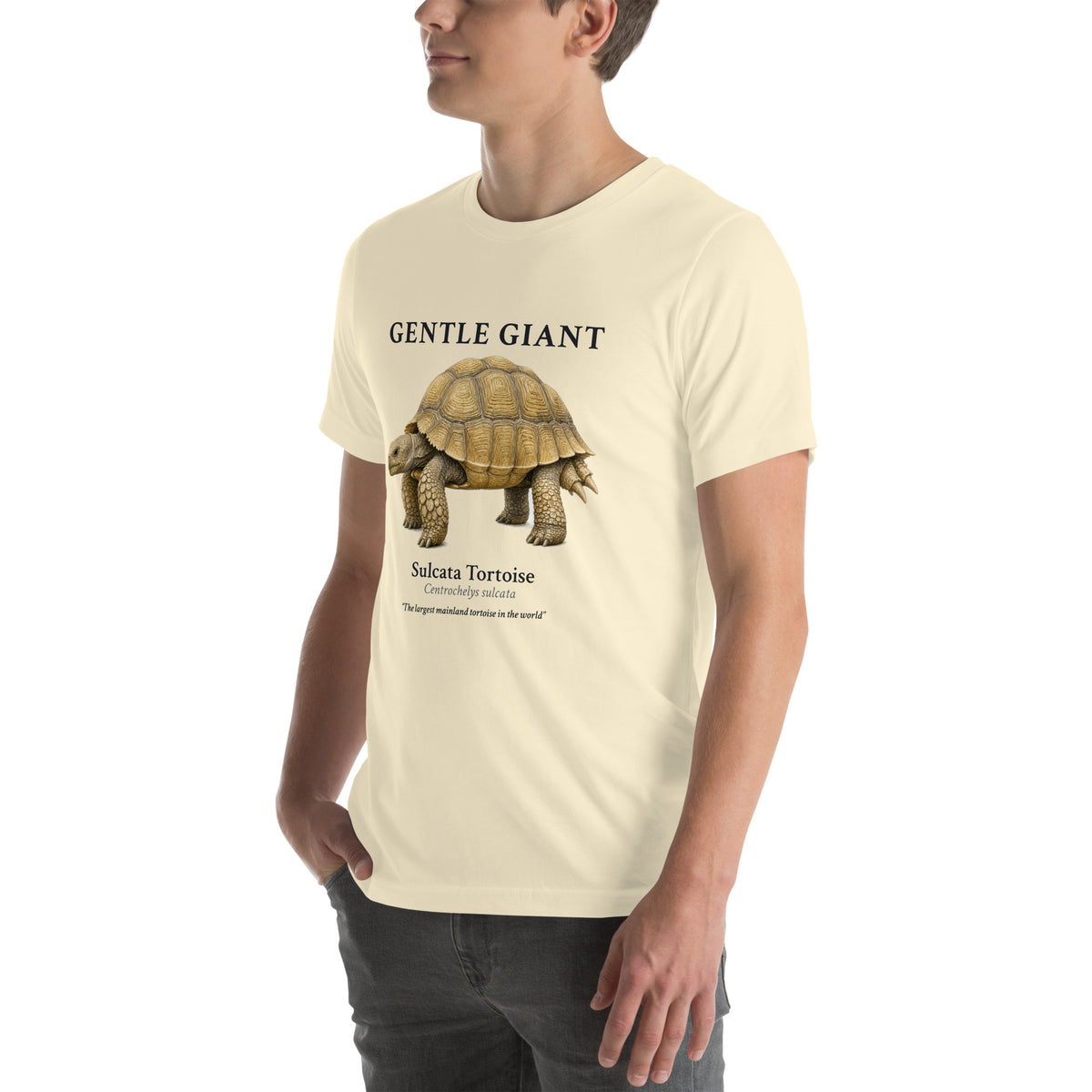 Sulcata Tortoise Gentle Giant Tee – Natural – left front