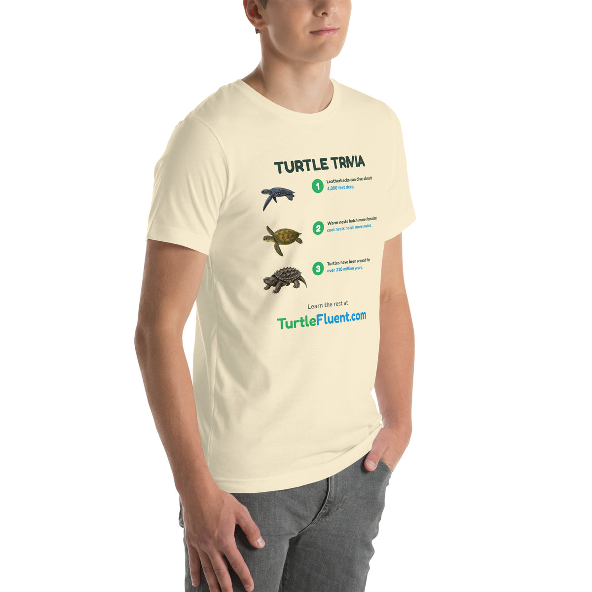 Turtle Trivia Tee – Natural – right front