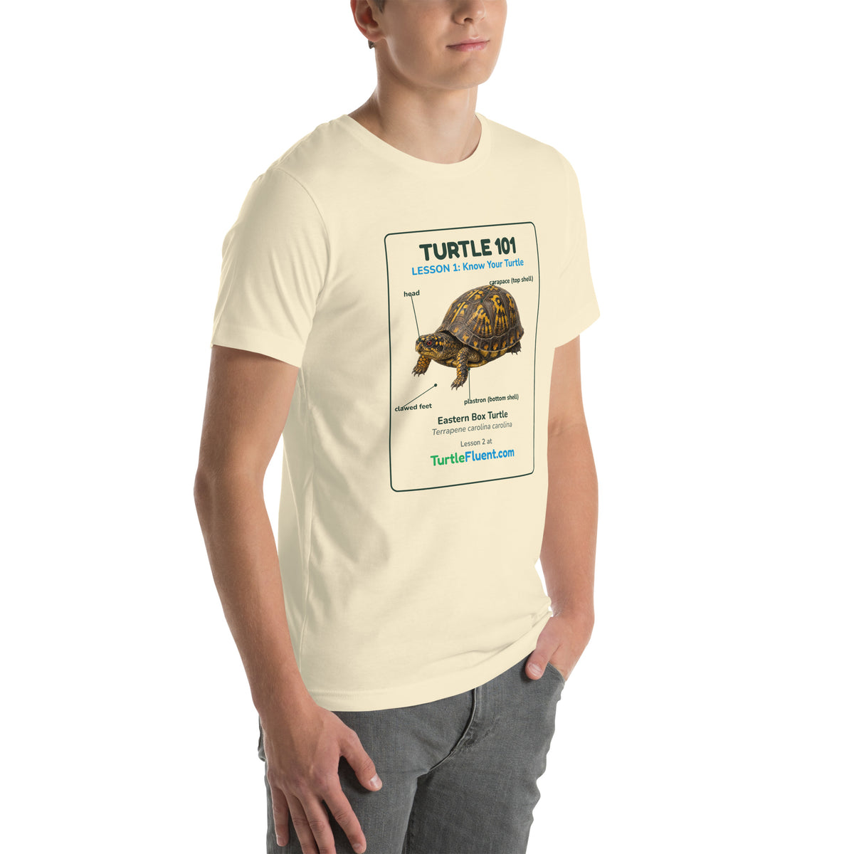 Turtle 101 Tee – Natural – right front