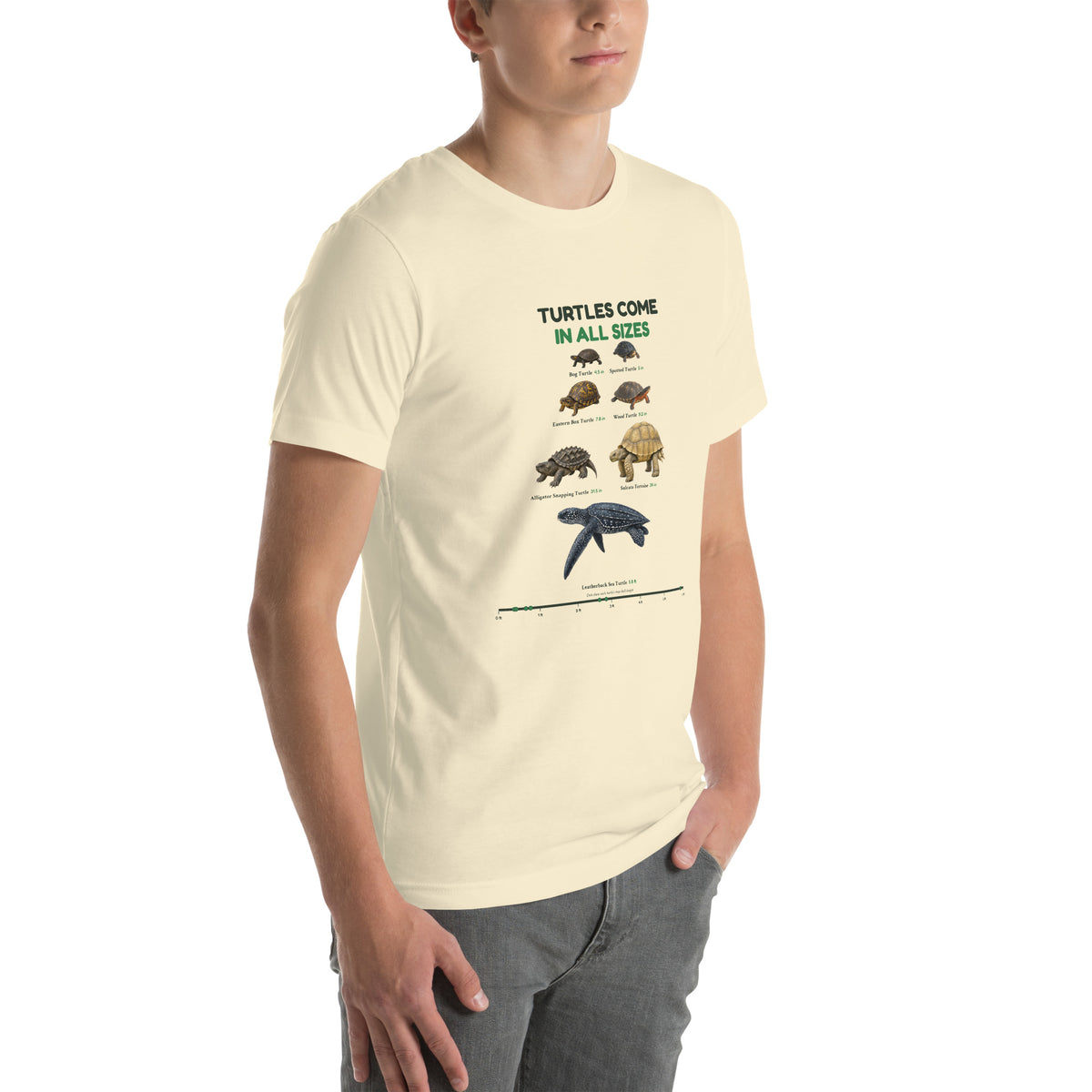 Turtles Come in All Sizes Tee – Natural – right front