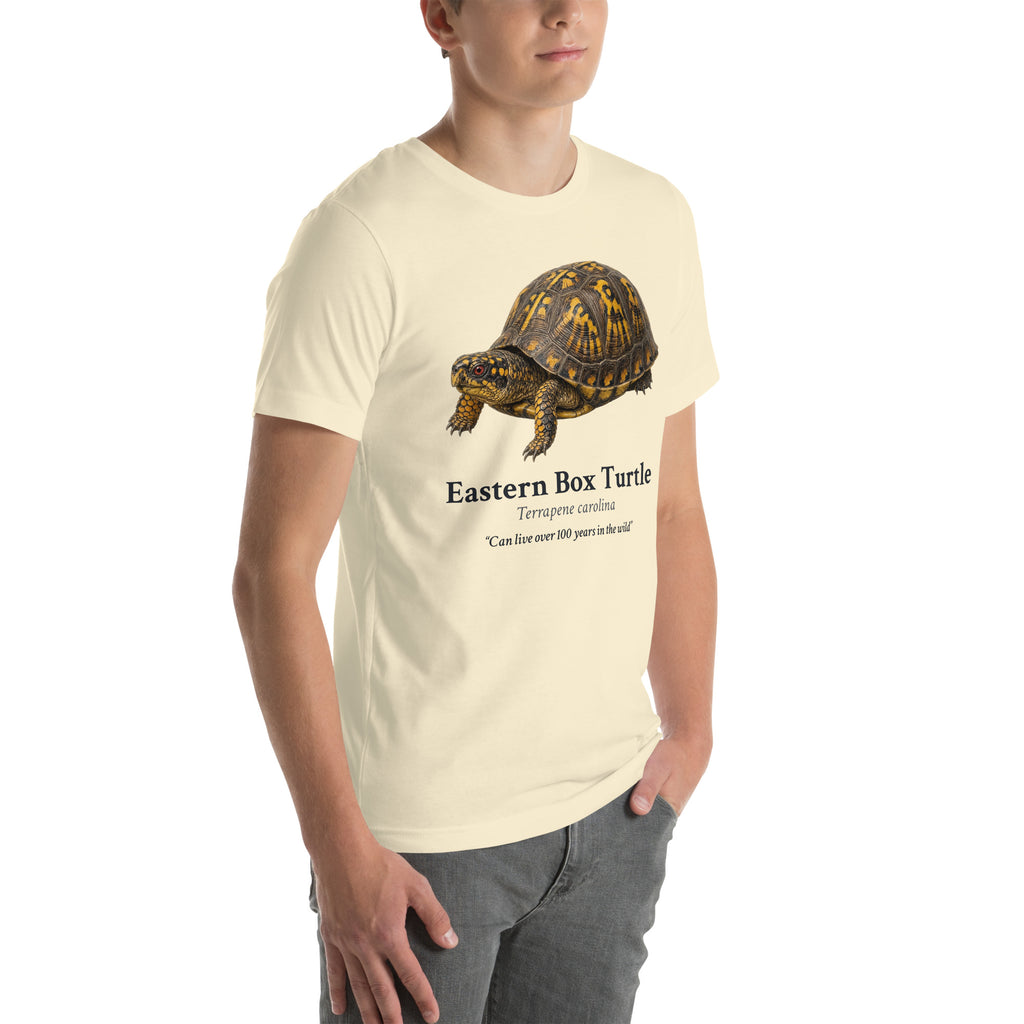 Eastern Box Turtle Tee – Natural – right front