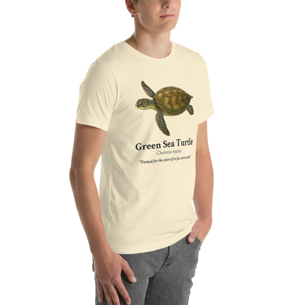 Green Sea Turtle Tee – Natural – right front