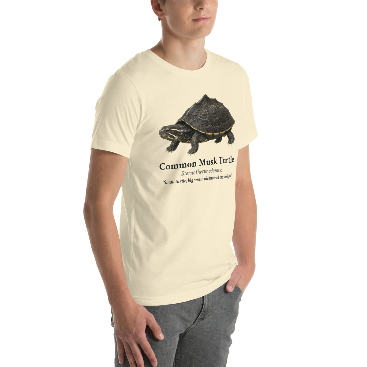 Common Musk Turtle Tee – Natural – right front