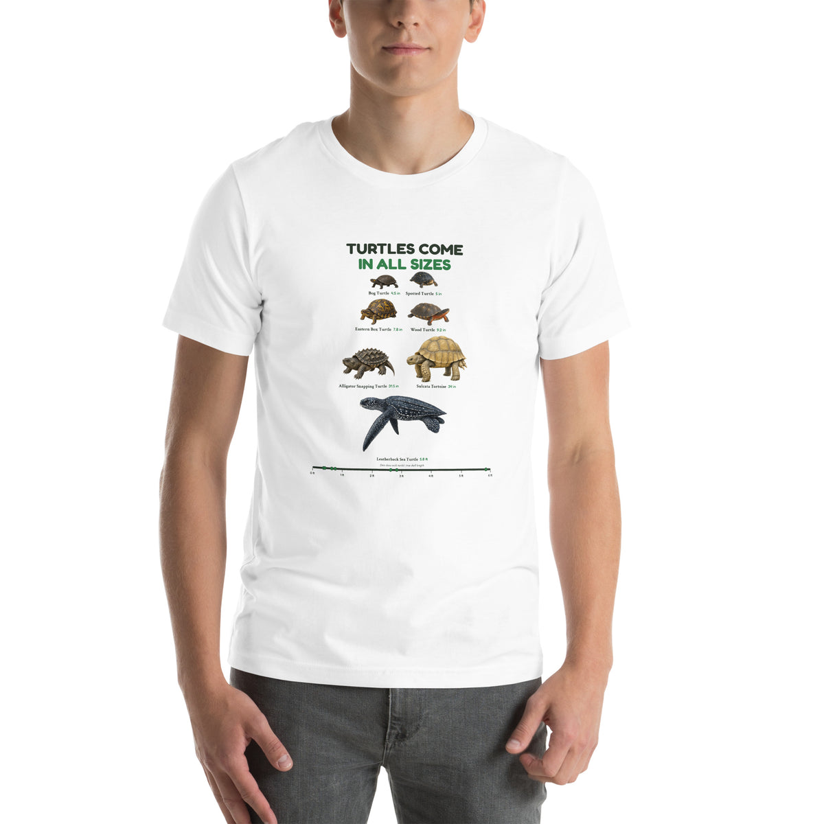 Turtles Come in All Sizes Tee – White – front