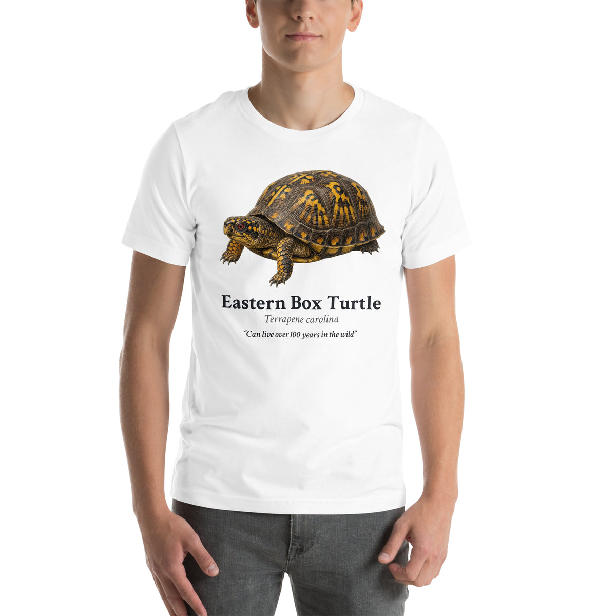 Eastern Box Turtle Tee – White – front